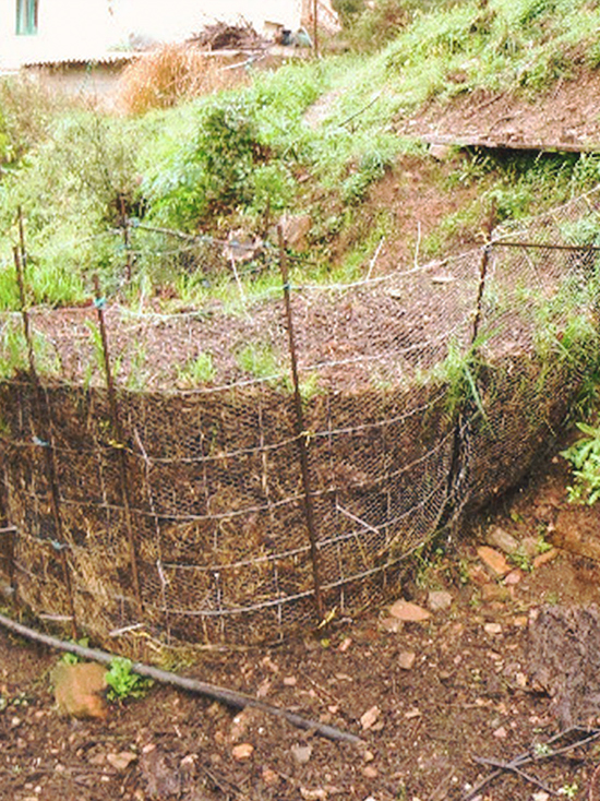 18-day compost