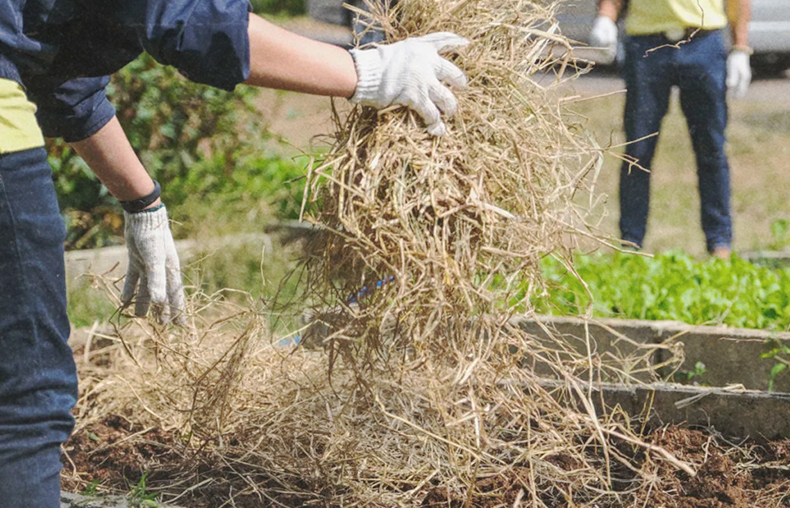 18-day compost