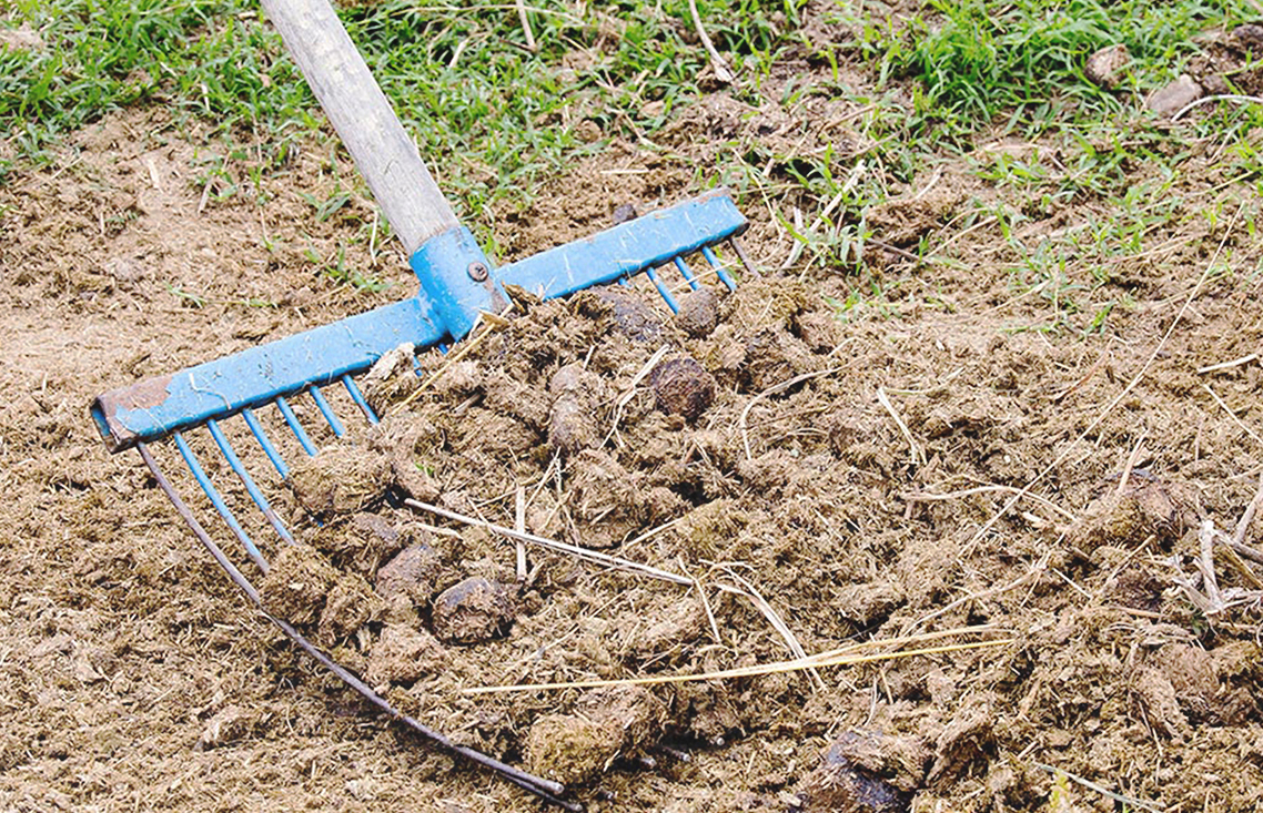 18-day compost