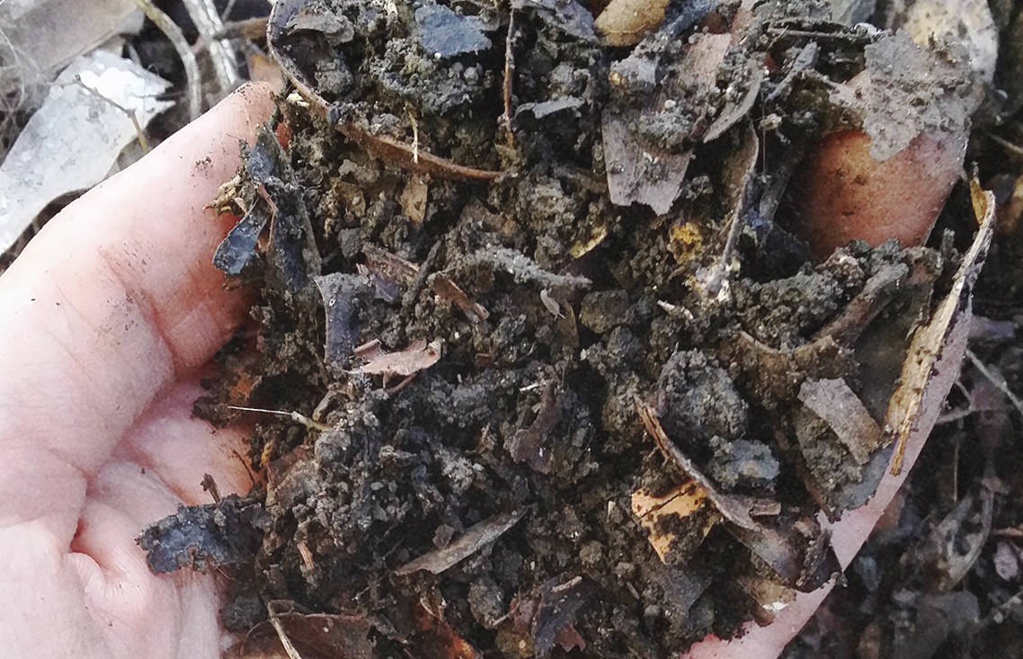 18-day compost