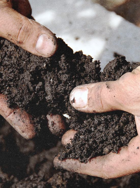 18-day compost