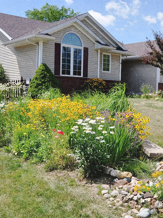 Techniques in Permaculture