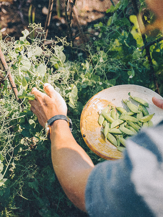 sustainable kitchen