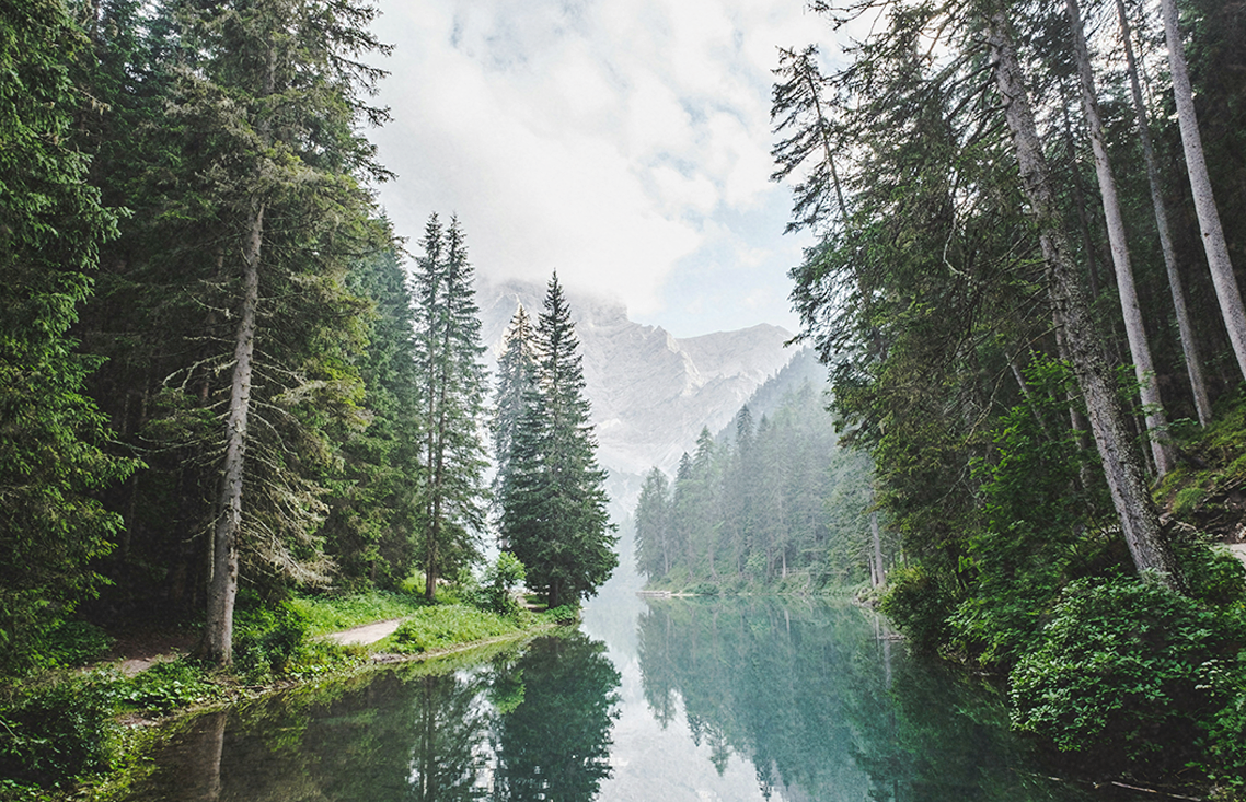 nature as a regulator