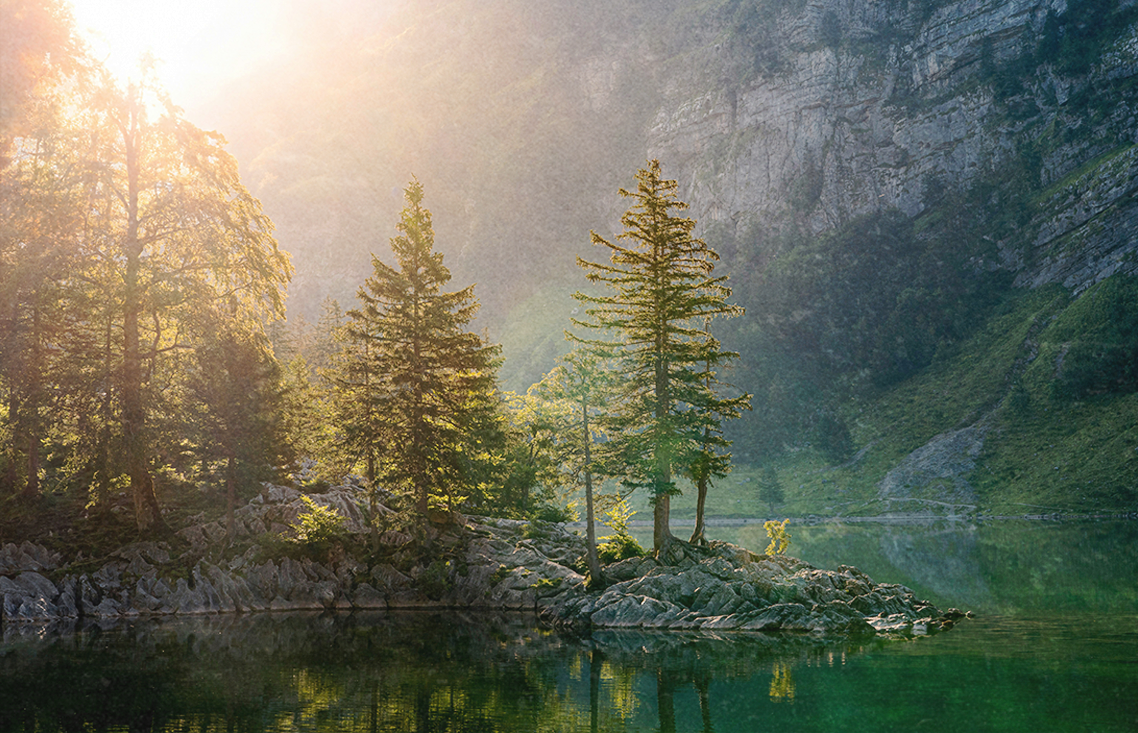 nature as a regulator