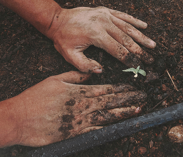 What is permaculture
